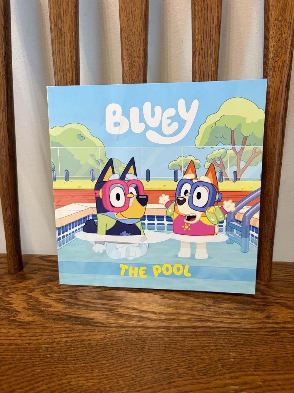 Bluey: The Pool Paperback Book